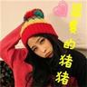 宠物美容专业知识
